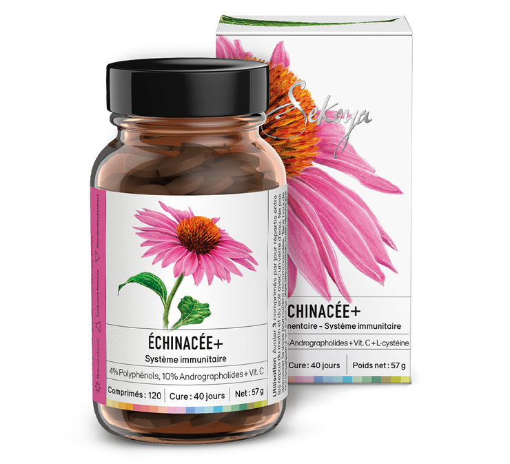 Échinacée +