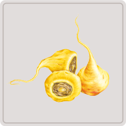 maca