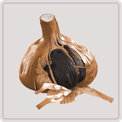 ailnoir